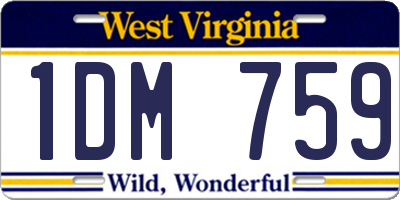 WV license plate 1DM759