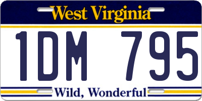 WV license plate 1DM795