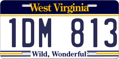 WV license plate 1DM813