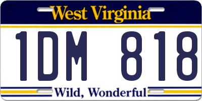 WV license plate 1DM818