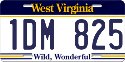 WV license plate 1DM825