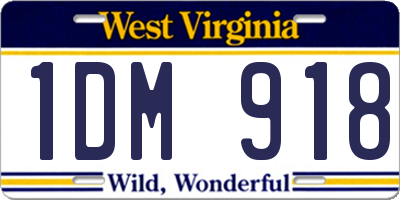 WV license plate 1DM918