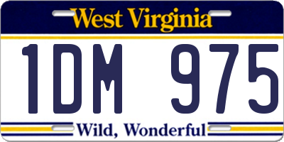 WV license plate 1DM975