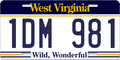 WV license plate 1DM981