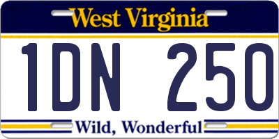 WV license plate 1DN250
