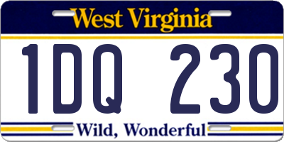 WV license plate 1DQ230