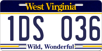 WV license plate 1DS036