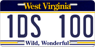 WV license plate 1DS100