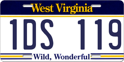 WV license plate 1DS119