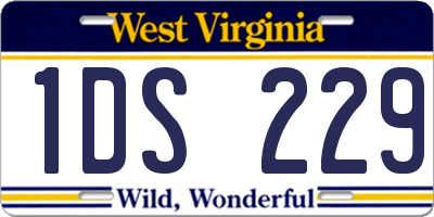 WV license plate 1DS229