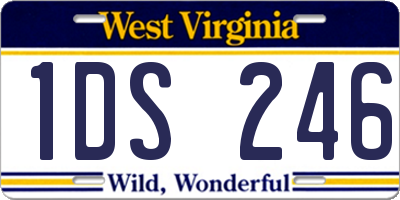 WV license plate 1DS246