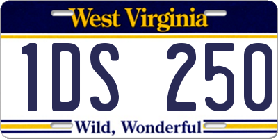 WV license plate 1DS250