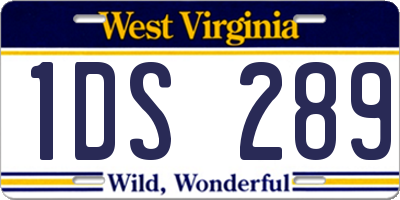 WV license plate 1DS289