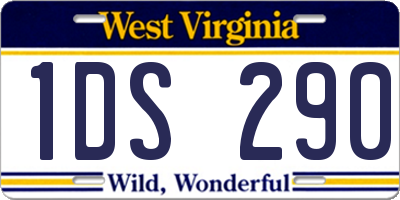 WV license plate 1DS290