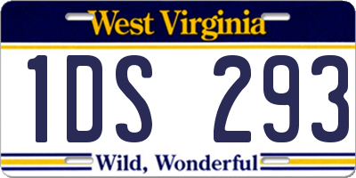 WV license plate 1DS293