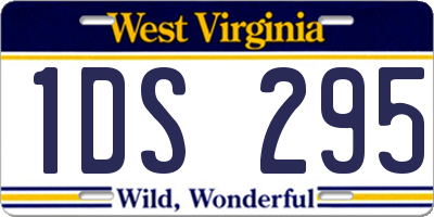 WV license plate 1DS295