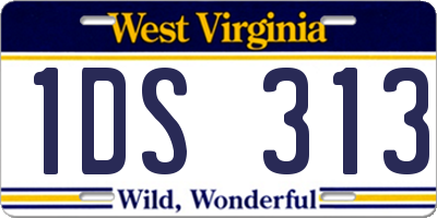 WV license plate 1DS313