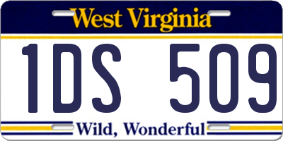 WV license plate 1DS509