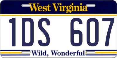WV license plate 1DS607