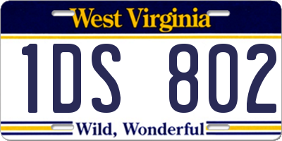 WV license plate 1DS802