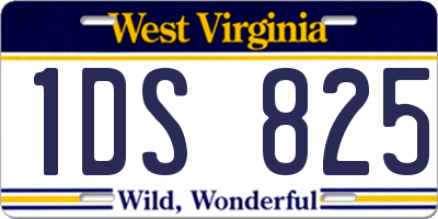 WV license plate 1DS825