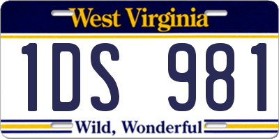 WV license plate 1DS981