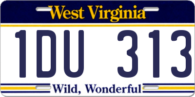 WV license plate 1DU313