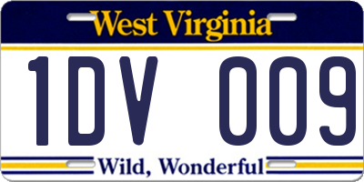 WV license plate 1DV009