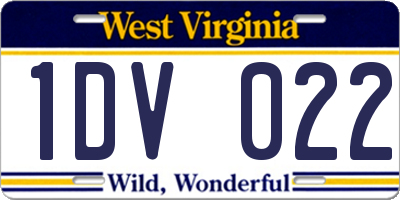 WV license plate 1DV022