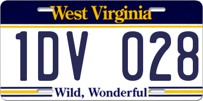 WV license plate 1DV028