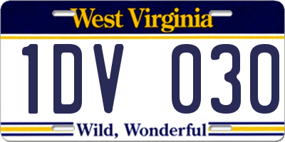 WV license plate 1DV030