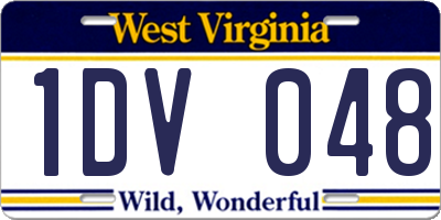WV license plate 1DV048