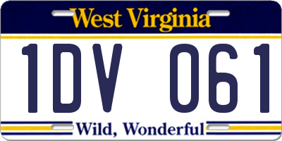 WV license plate 1DV061