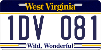 WV license plate 1DV081