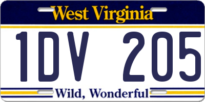WV license plate 1DV205