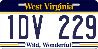 WV license plate 1DV229