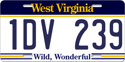 WV license plate 1DV239