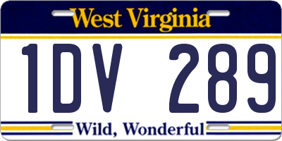 WV license plate 1DV289