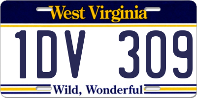 WV license plate 1DV309
