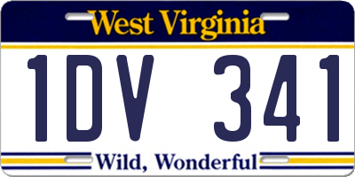 WV license plate 1DV341