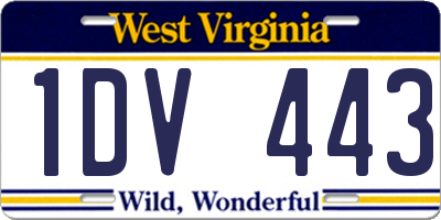 WV license plate 1DV443