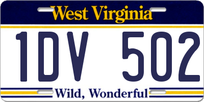 WV license plate 1DV502