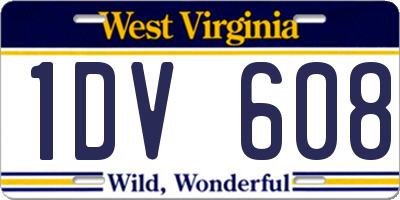 WV license plate 1DV608