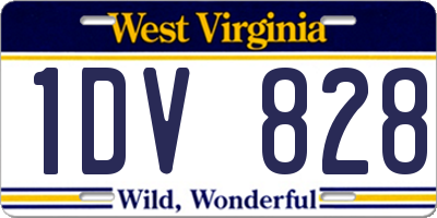 WV license plate 1DV828