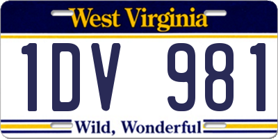 WV license plate 1DV981