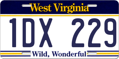 WV license plate 1DX229