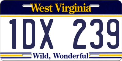 WV license plate 1DX239