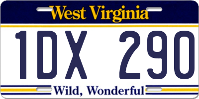 WV license plate 1DX290