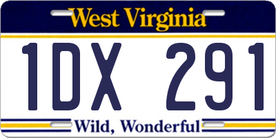 WV license plate 1DX291