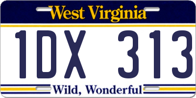 WV license plate 1DX313